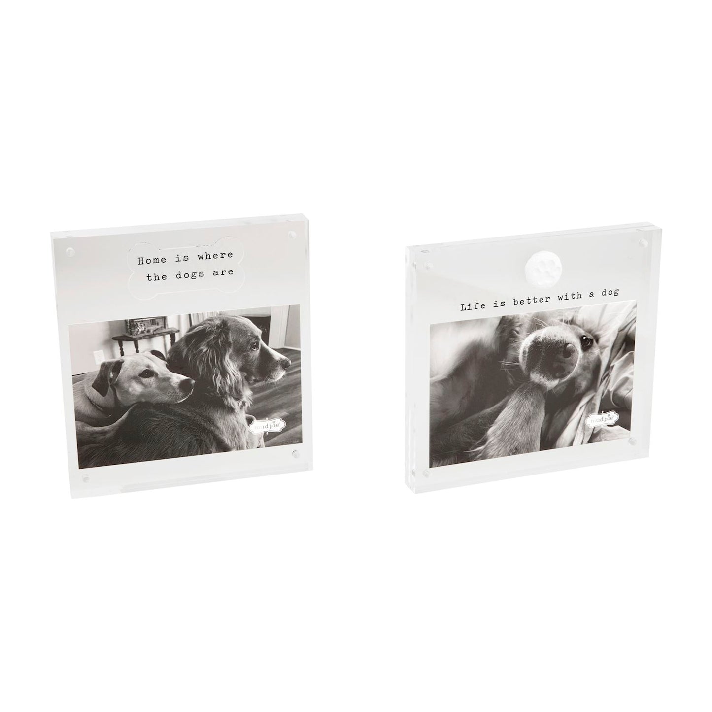 Acrylic Dog Frame