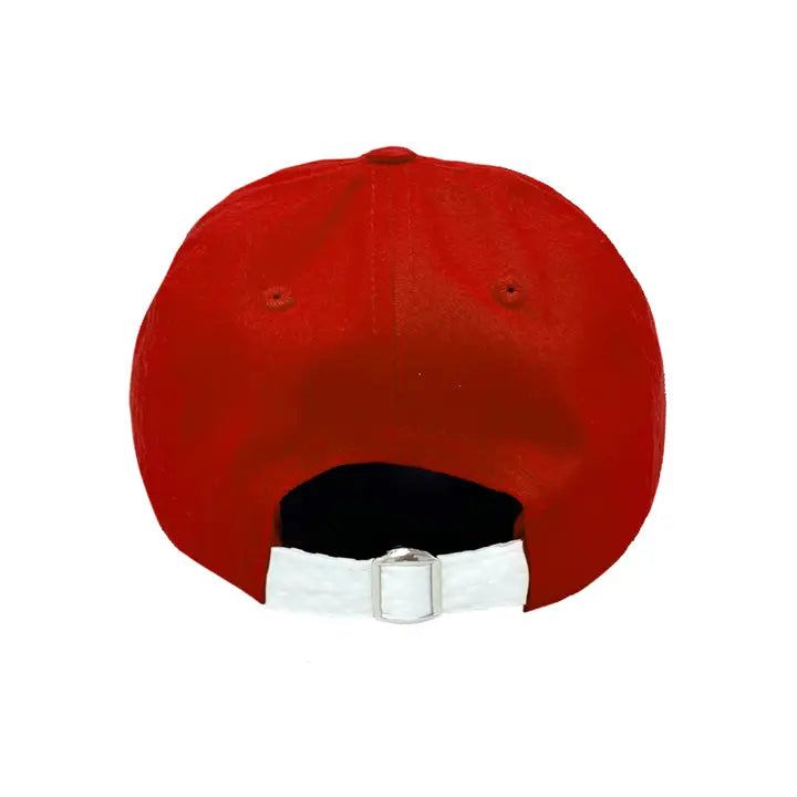 Collegiate Baseball Hat