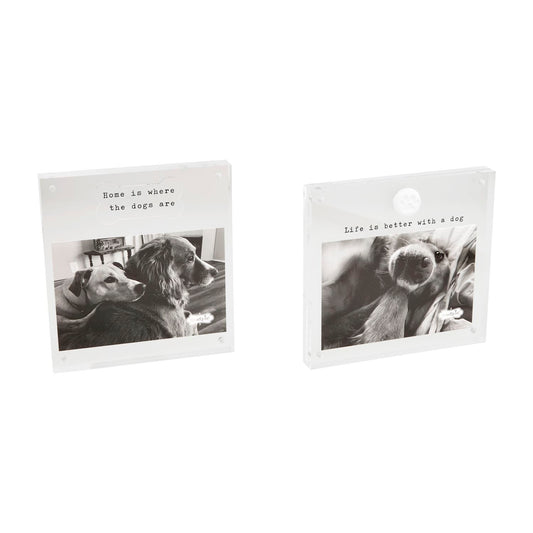 Acrylic Dog Frame