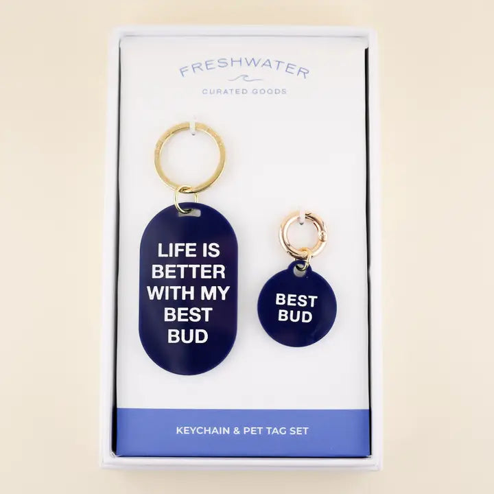 Keychain and pet tag