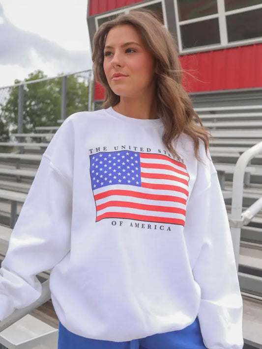 US Flag Crew Sweatshirt